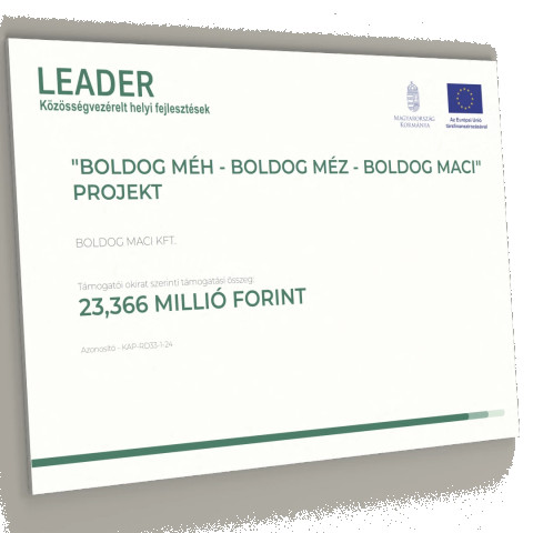 LEADER - Közösségvezérelt helyi fejlesztések projektek