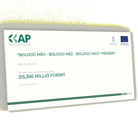 KAP tábla - NAGY