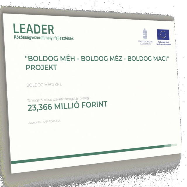 LEADER tábla
