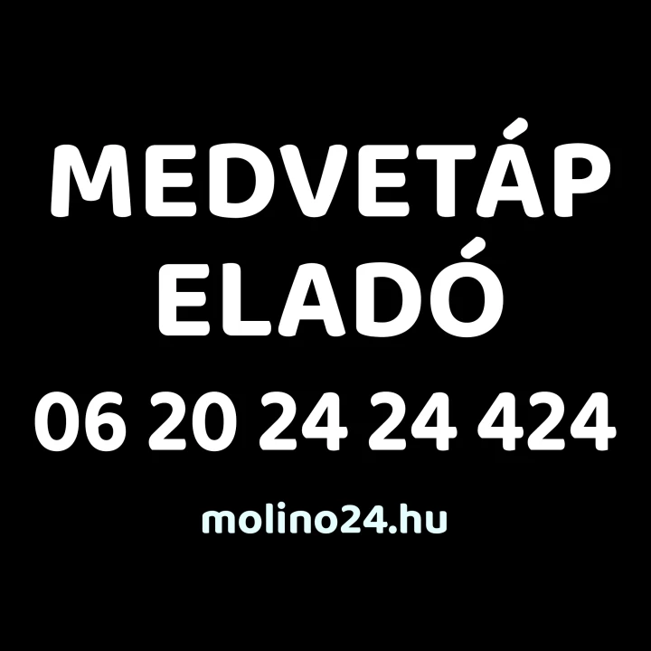 ALAP grafikai anyag készítés